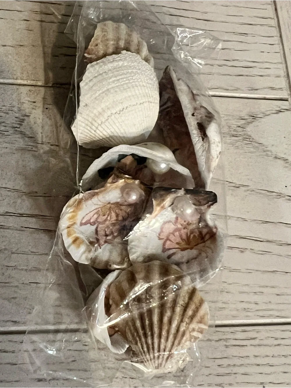 Bag of Small Decoupaged Decorative Seashells with Floral Patterns